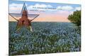 Premium Giclee Print