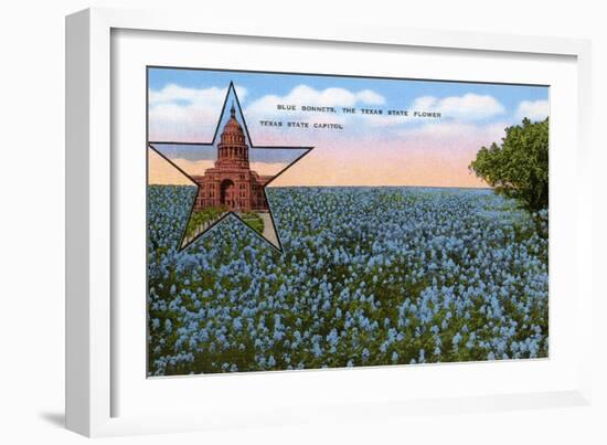 Field of Blue Bonnets, Texas State Flower-null-Framed Premium Giclee Print