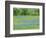 Field of bluebonnets and oak trees north of Llano Texas on Highway 16-Sylvia Gulin-Framed Photographic Print