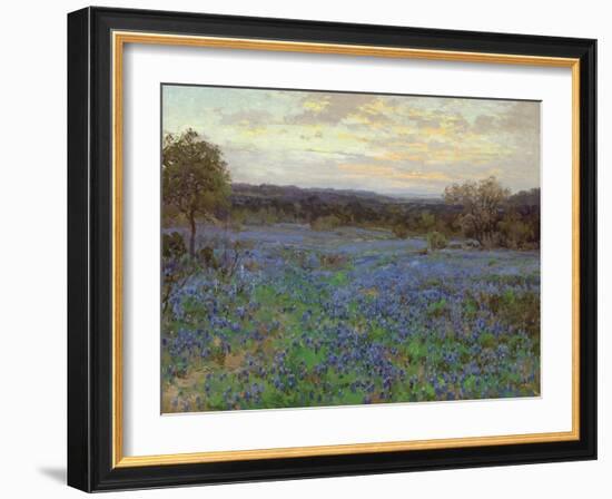 Field of Bluebonnets at Sunset-null-Framed Giclee Print