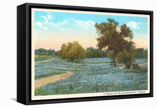 Field of Bluebonnets, Texas-null-Framed Stretched Canvas
