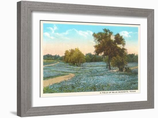 Field of Bluebonnets, Texas-null-Framed Art Print