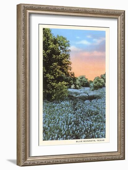 Field of Bluebonnets, Texas-null-Framed Art Print