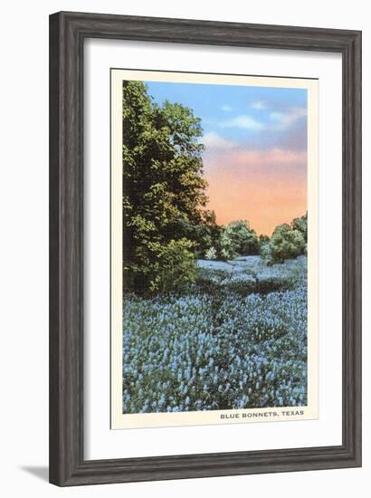 Field of Bluebonnets, Texas-null-Framed Art Print