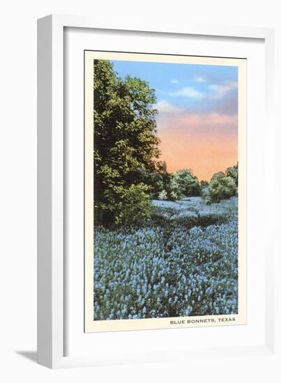 Field of Bluebonnets, Texas-null-Framed Art Print