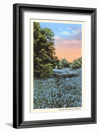 Field of Bluebonnets, Texas-null-Framed Art Print