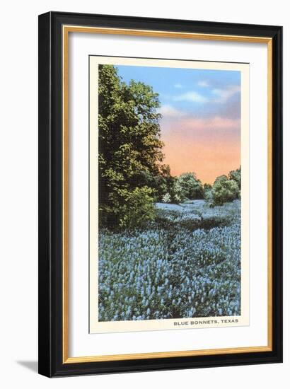 Field of Bluebonnets, Texas-null-Framed Art Print