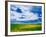 Field of Canola or Mustard flowers, Palouse Region, Washington, USA-Adam Jones-Framed Photographic Print