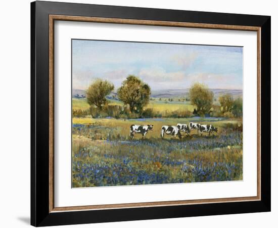 Field of Cattle I-Tim O'toole-Framed Art Print