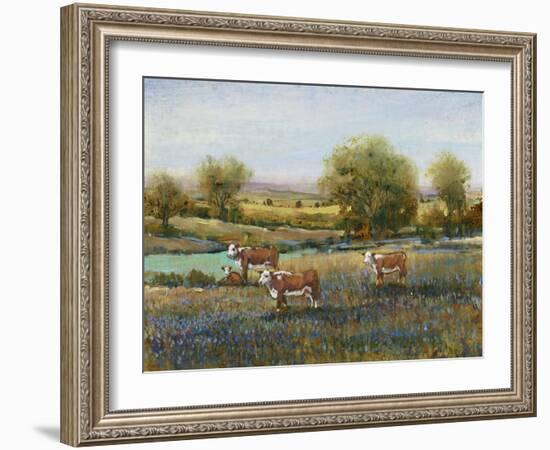 Field of Cattle II-Tim O'toole-Framed Art Print