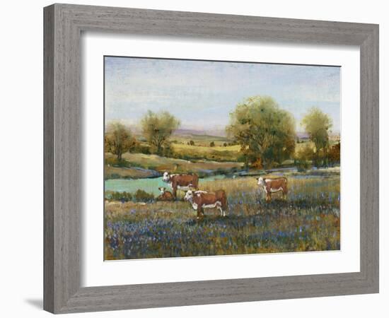 Field of Cattle II-Tim O'toole-Framed Art Print