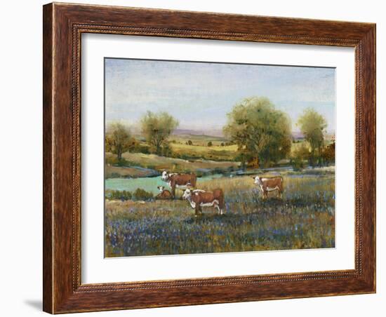 Field of Cattle II-Tim O'toole-Framed Art Print