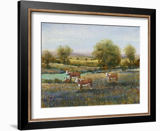 Field of Cattle II-Tim O'toole-Framed Art Print