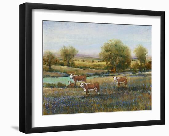 Field of Cattle II-Tim O'toole-Framed Art Print