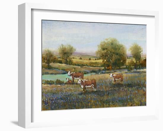 Field of Cattle II-Tim O'toole-Framed Art Print