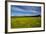 Field of Dandelions, Near Greta Valley, North Canterbury, South Island, New Zealand-David Wall-Framed Photographic Print