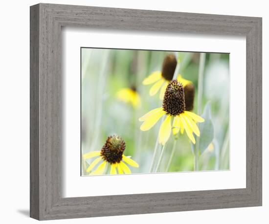 Field Of Dreams One-George Oze-Framed Photographic Print