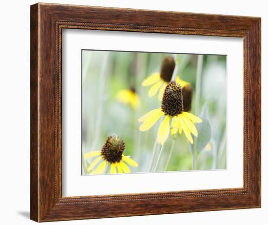 Field Of Dreams One-George Oze-Framed Photographic Print