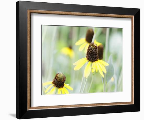 Field Of Dreams One-George Oze-Framed Photographic Print