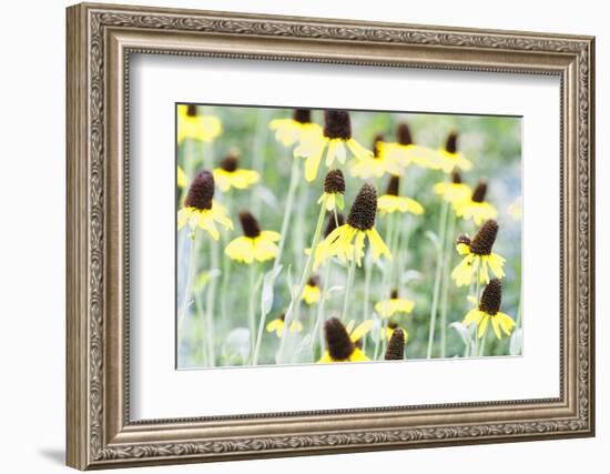 Field Of Dreams Two-George Oze-Framed Photographic Print