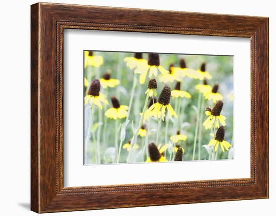 Field Of Dreams Two-George Oze-Framed Photographic Print