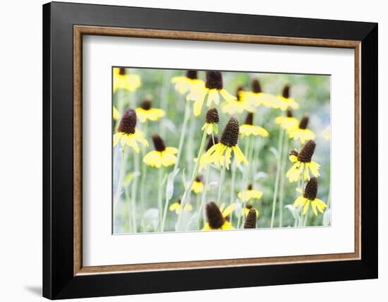 Field Of Dreams Two-George Oze-Framed Photographic Print