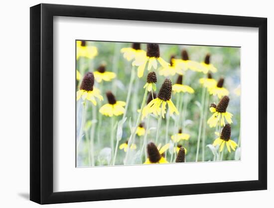 Field Of Dreams Two-George Oze-Framed Photographic Print