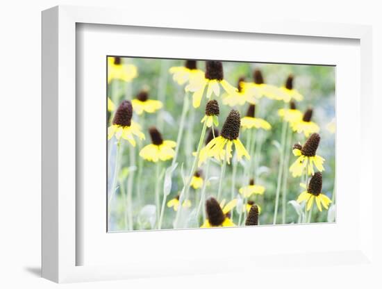 Field Of Dreams Two-George Oze-Framed Photographic Print