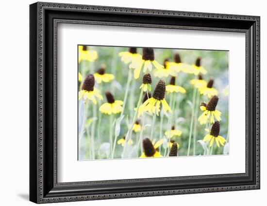 Field Of Dreams Two-George Oze-Framed Photographic Print