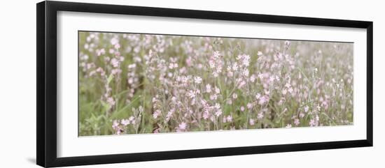 Field of Dreams-Assaf Frank-Framed Giclee Print