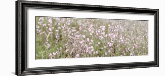 Field of Dreams-Assaf Frank-Framed Giclee Print