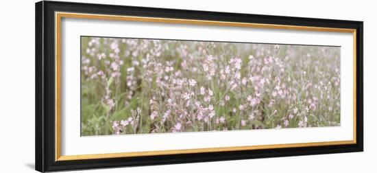 Field of Dreams-Assaf Frank-Framed Giclee Print