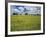 Field of Flowers and Trees with Cloudy Sky, Texas Hill Country, Texas, USA-Adam Jones-Framed Photographic Print
