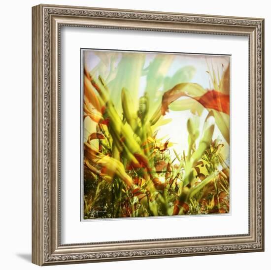 Field of flowers I-Jean-François Dupuis-Framed Art Print