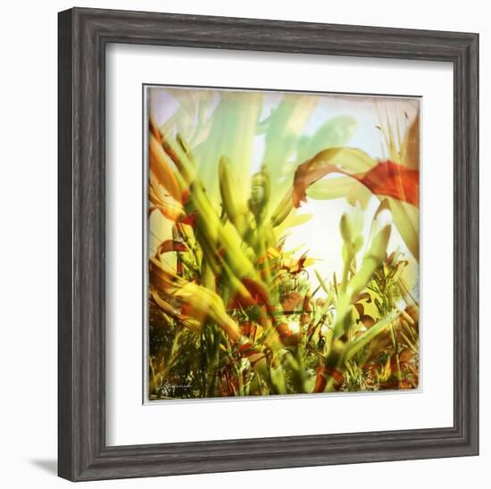 Field of flowers I-Jean-François Dupuis-Framed Art Print