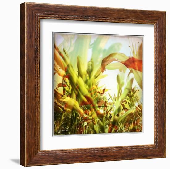 Field of flowers I-Jean-François Dupuis-Framed Art Print