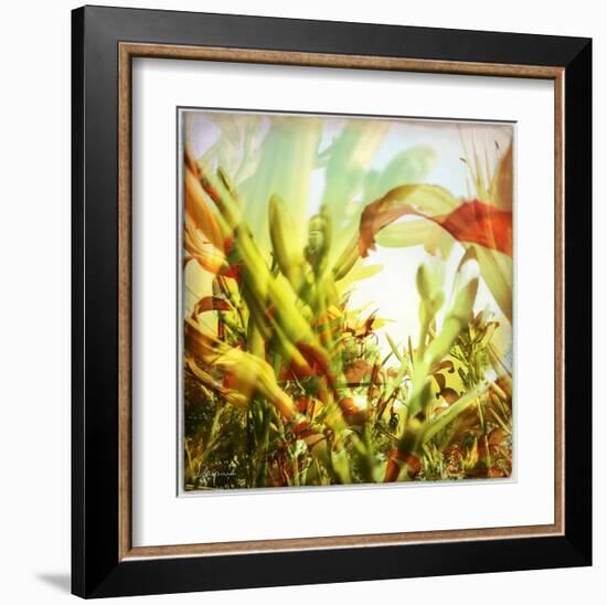 Field of flowers I-Jean-François Dupuis-Framed Art Print