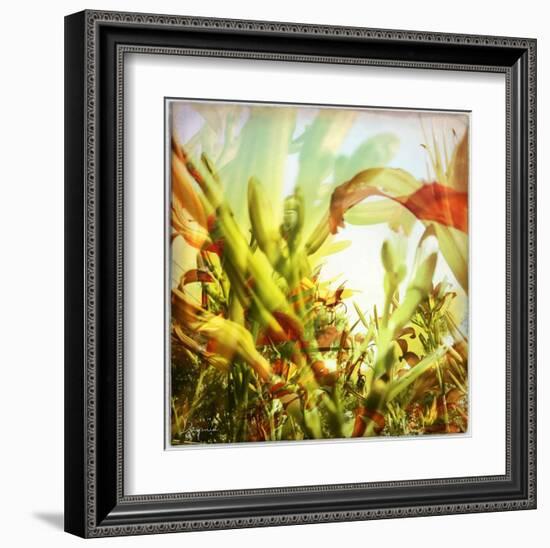 Field of flowers I-Jean-François Dupuis-Framed Art Print