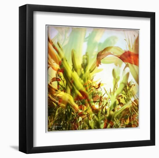 Field of flowers I-Jean-François Dupuis-Framed Art Print