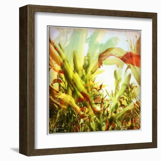 Field of flowers I-Jean-François Dupuis-Framed Art Print