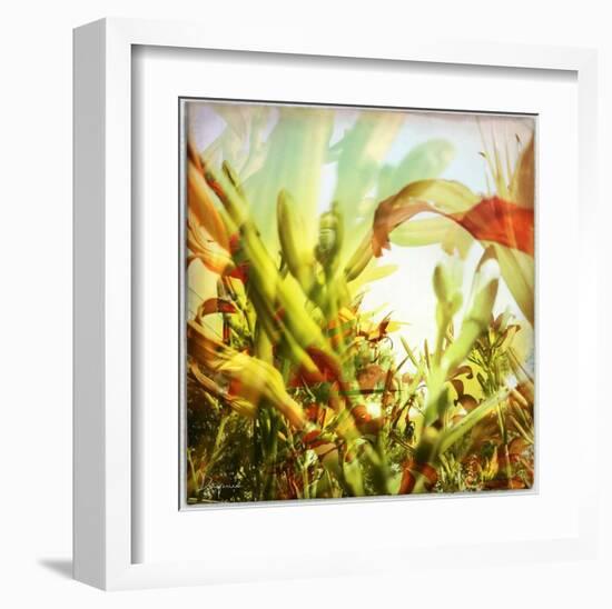 Field of flowers I-Jean-François Dupuis-Framed Art Print