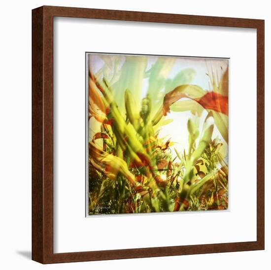 Field of flowers I-Jean-François Dupuis-Framed Art Print