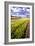 Field of Flowers I-Alan Hausenflock-Framed Photographic Print