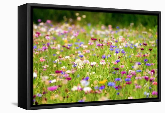 Field of Flowers in Paintography-Philippe Sainte-Laudy-Framed Premier Image Canvas