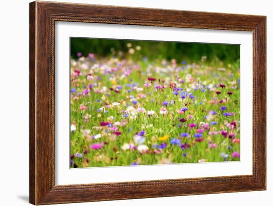 Field of Flowers in Paintography-Philippe Sainte-Laudy-Framed Photographic Print