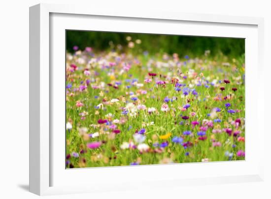 Field of Flowers in Paintography-Philippe Sainte-Laudy-Framed Photographic Print