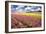 Field of Flowers IV-Alan Hausenflock-Framed Photographic Print