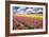 Field of Flowers IV-Alan Hausenflock-Framed Photographic Print