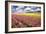 Field of Flowers IV-Alan Hausenflock-Framed Photographic Print