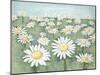 Field of Flowers-Randy Hibberd-Mounted Art Print